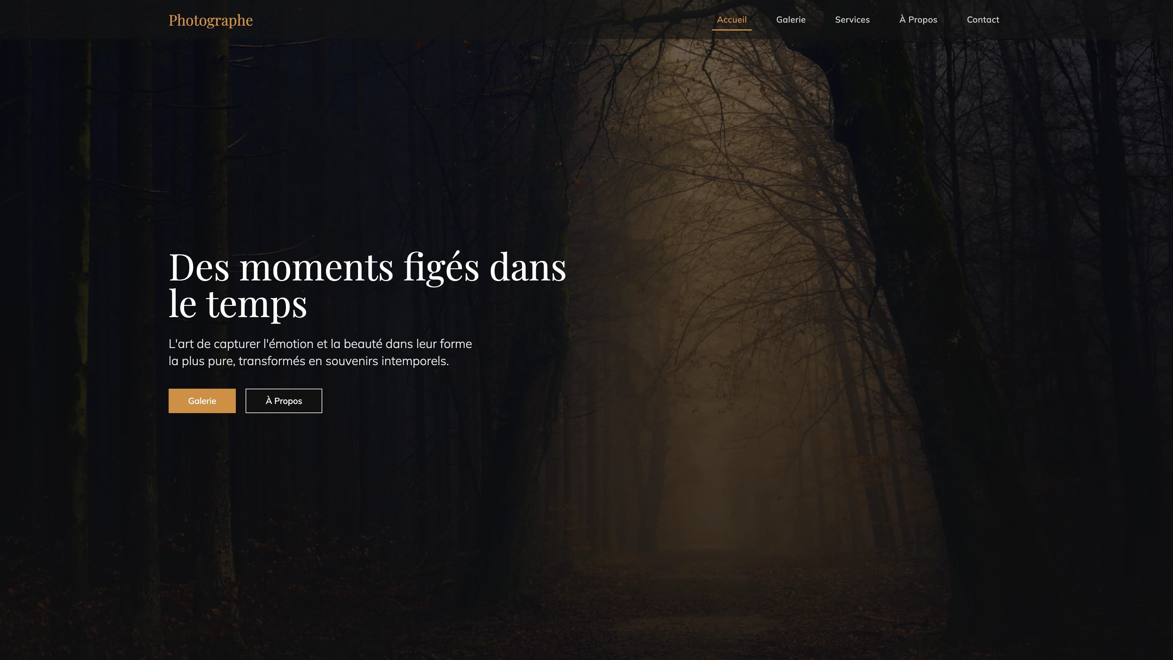 Template Photographe